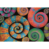 Clementoni Colorboom Collection Puzzel Curly 500 Stukjes