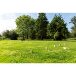 Outdoor Play Xl Kubb Met 21 Houten Onderdelen