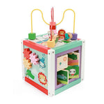 Fisher Price 5In1 Houten Activiteitenkubus