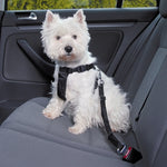 Trixie Dog Harness Car Incl Belt Black 