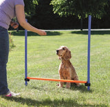 Trixie Dog Activity Agility Haies Bleu/Orange 123 x 115 x 3 cm