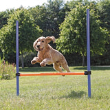 Trixie Dog Activity Agility Haies Bleu/Orange 123 x 115 x 3 cm