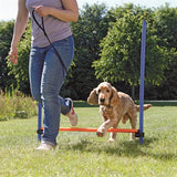 Trixie Dog Activity Agility Haies Bleu/Orange 123 x 115 x 3 cm