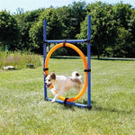 Trixie Dog Activity Agility Ring Bleu / Orange 65X3X115 CM