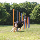 Trixie Dog Activity Agility Bâtons de Slalom Bleu / Orange 115X3 CM 12 PCS