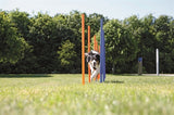 Trixie Dog Activity Agility Bâtons de Slalom Bleu / Orange 115X3 CM 12 PCS