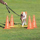 Ensemble de haies d'activité pour chien Trixie