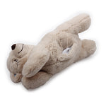 AFP Petit Buddy Ours Chaud 36X18 CM