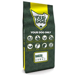 Yourdog Barzoi Senior 12 KG