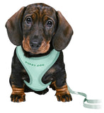 Trixie Junior Harnais Chiot Doux Avec Laisse Vert Menthe 26-34X1 CM / 2 MTR