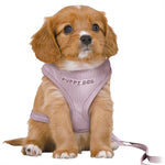 Trixie Harnais pour chien Harnais souple pour chiot junior avec laisse Lilas 36-50X1 CM / 2 MTR